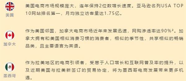 揭秘 | 他花了不到一年，在北美站从懵懂小白到品类Best Seller？！